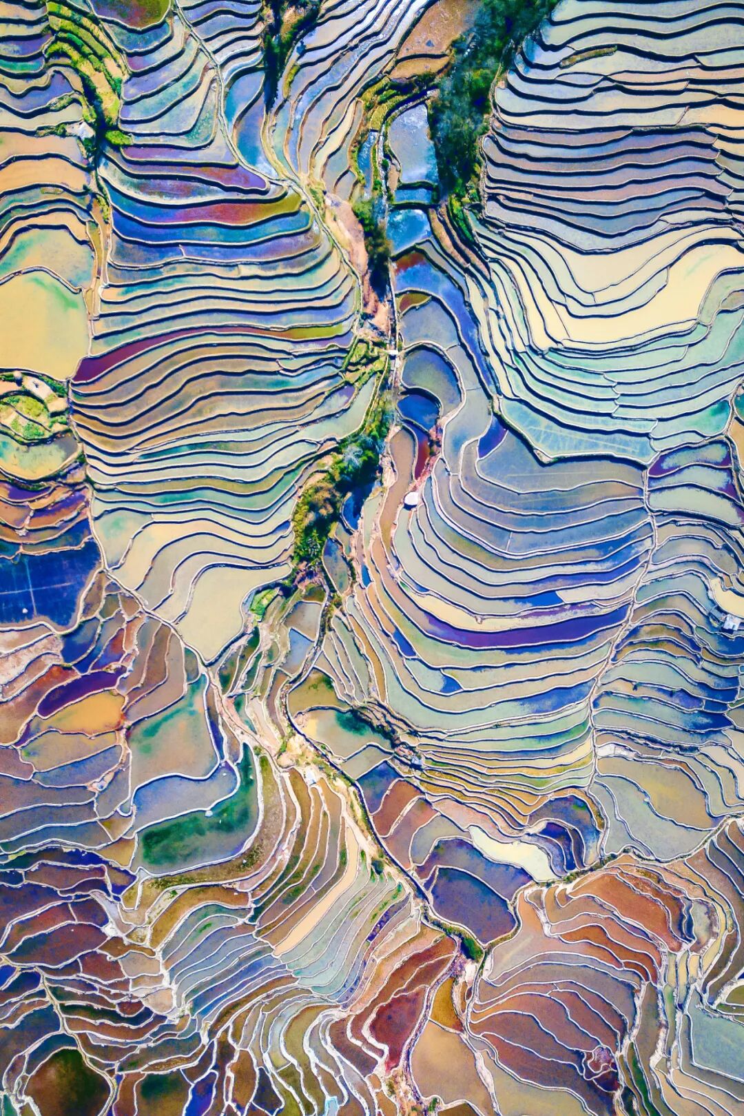 �й����ϣ�ƾʲô�ǡ������ʻ���������