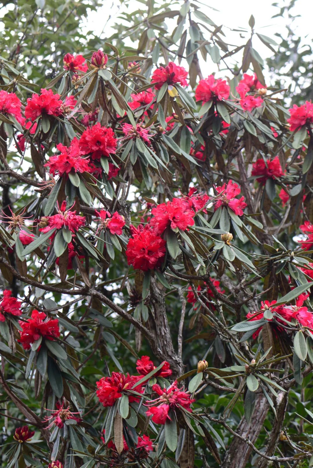 �й����ϣ�ƾʲô�ǡ������ʻ���������