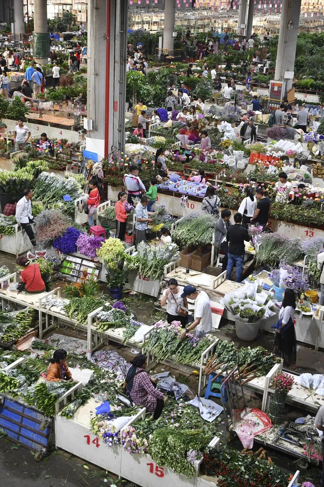 �й����ϣ�ƾʲô�ǡ������ʻ���������