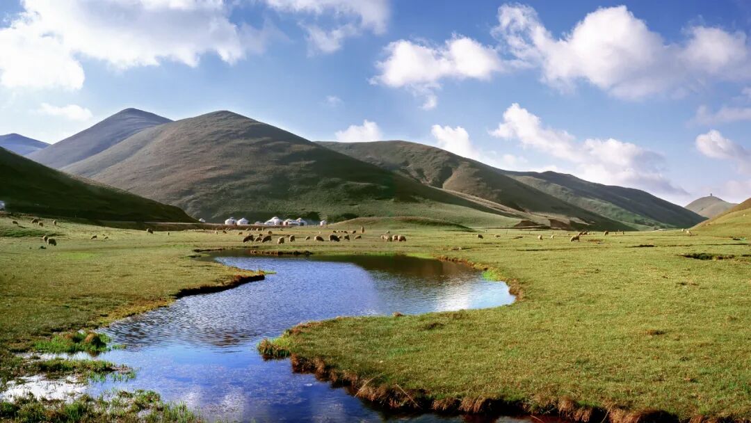 �й����ϣ�ƾʲô�ǡ������ʻ���������