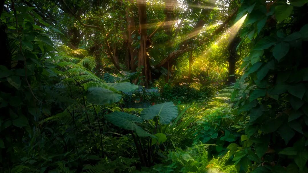 �й����ϣ�ƾʲô�ǡ������ʻ���������