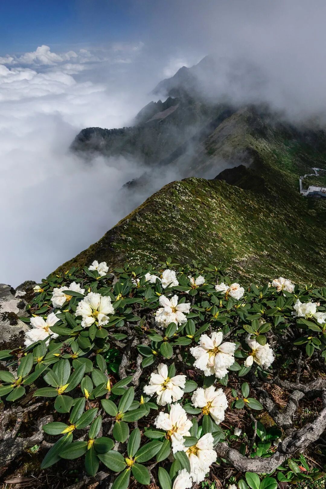 �й����ϣ�ƾʲô�ǡ������ʻ���������