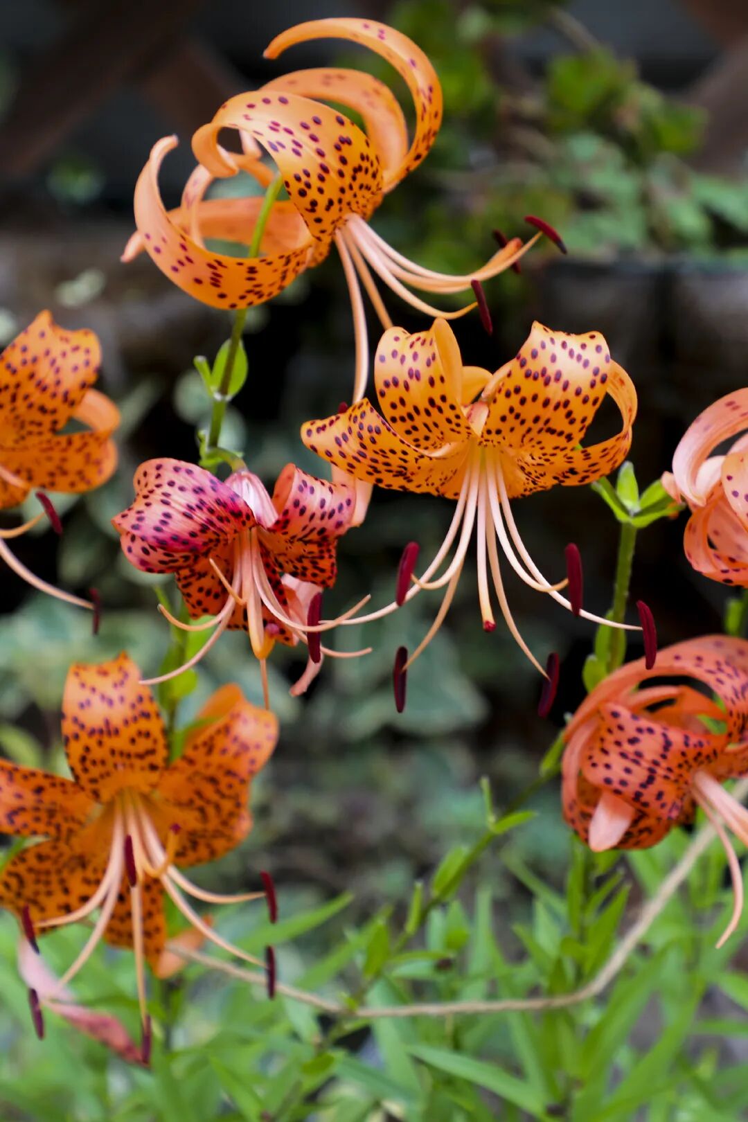 �й����ϣ�ƾʲô�ǡ������ʻ���������