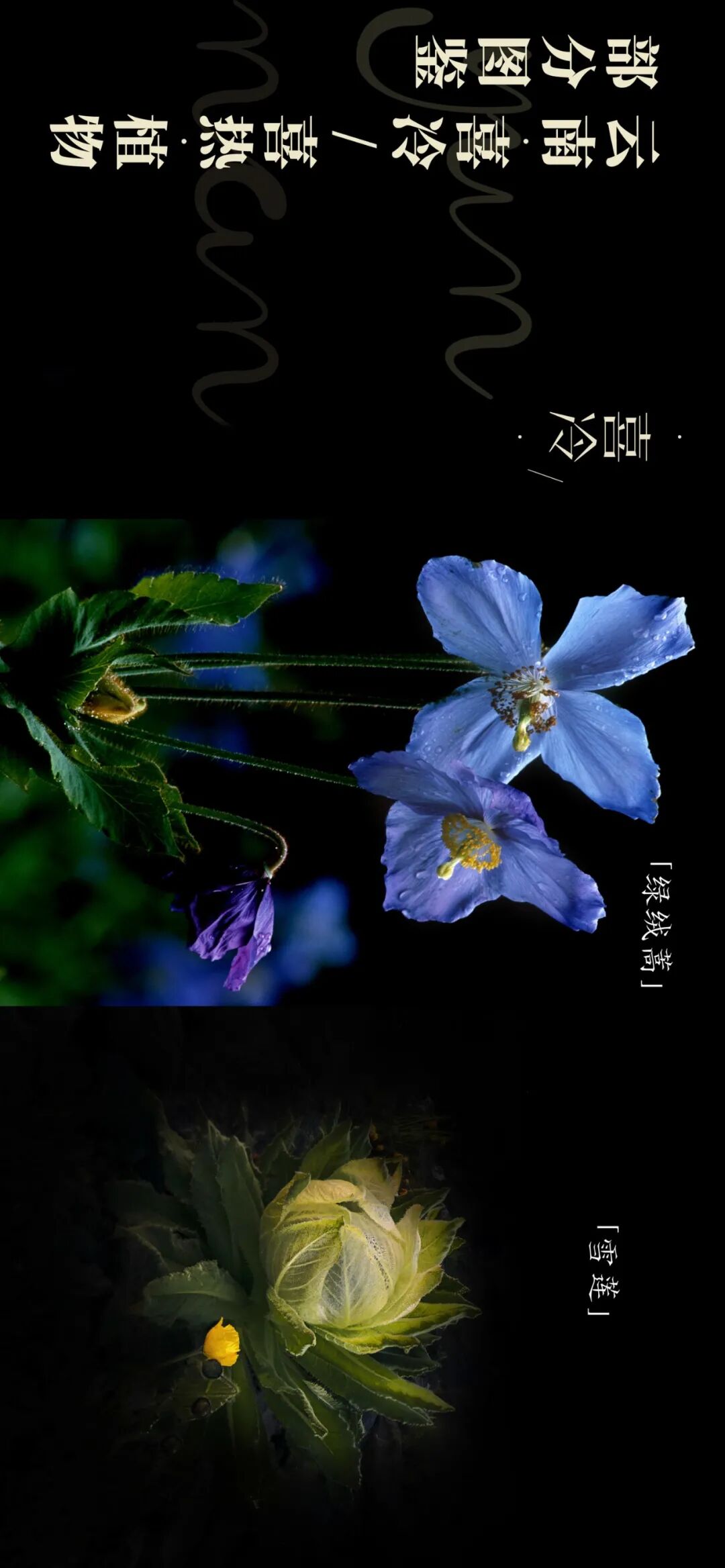 �й����ϣ�ƾʲô�ǡ������ʻ���������