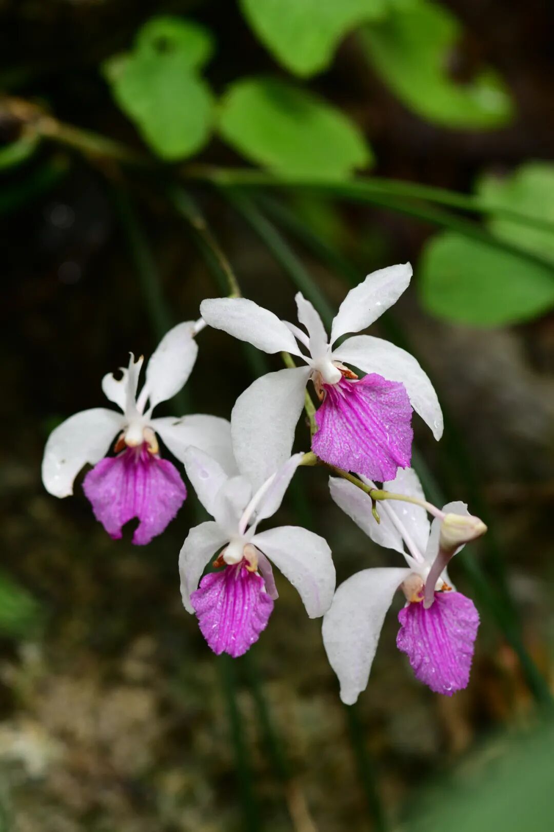 �й����ϣ�ƾʲô�ǡ������ʻ���������