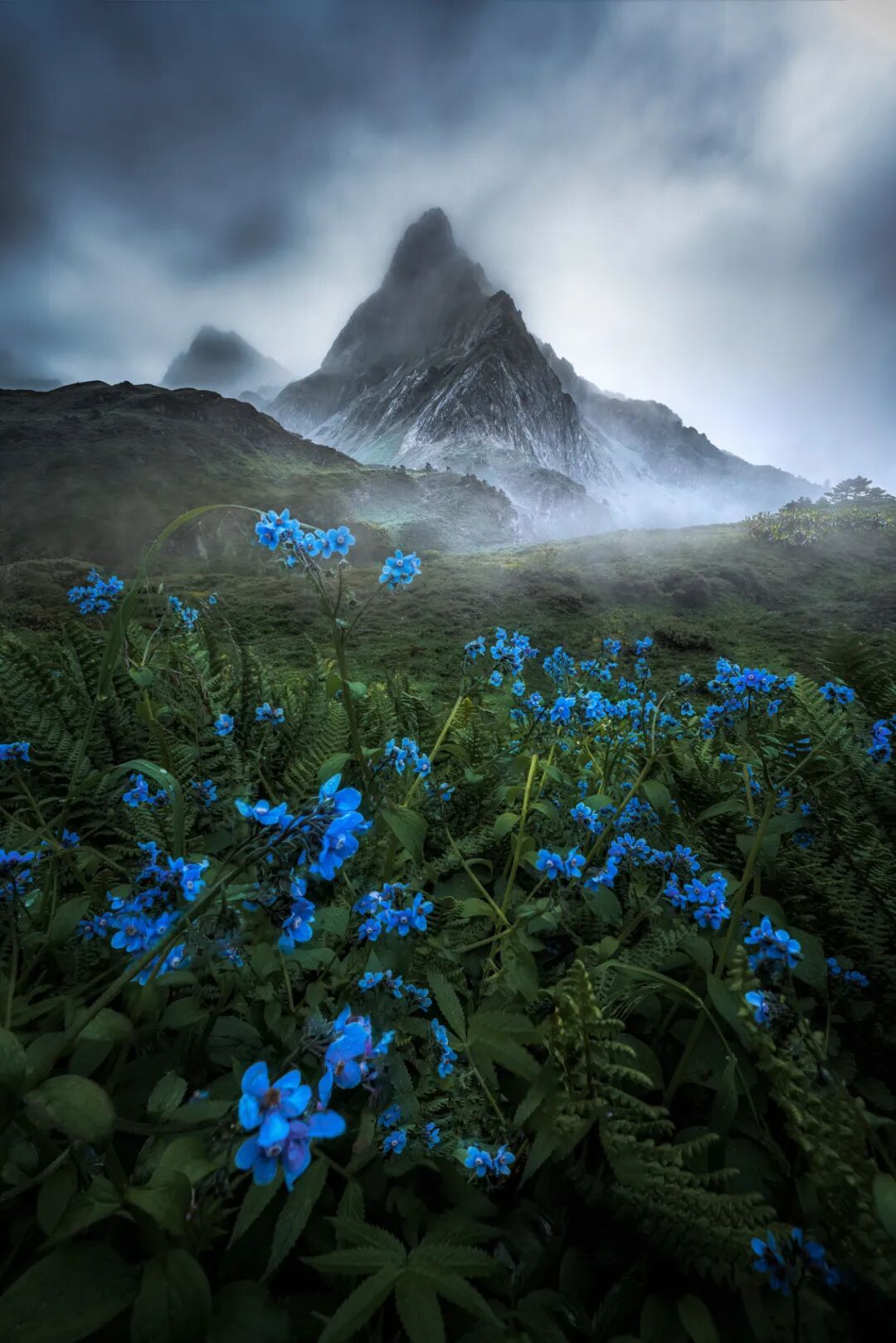 �й����ϣ�ƾʲô�ǡ������ʻ���������