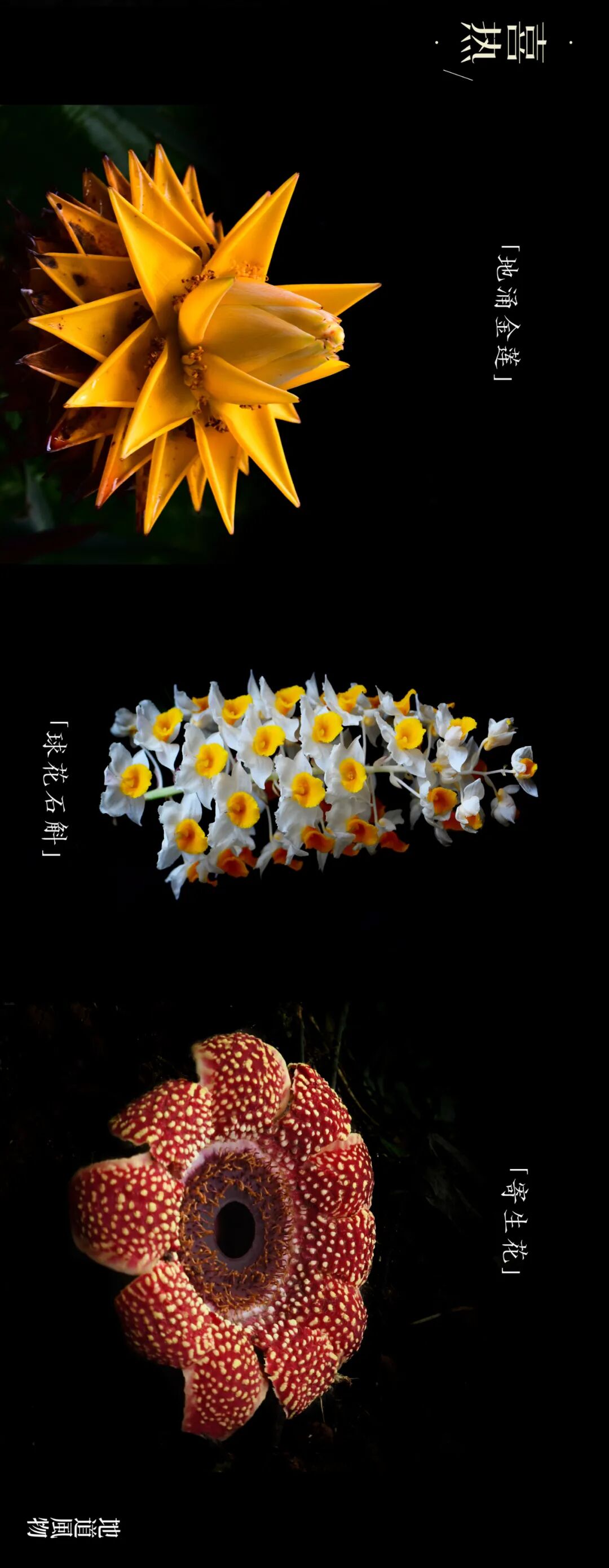 �й����ϣ�ƾʲô�ǡ������ʻ���������