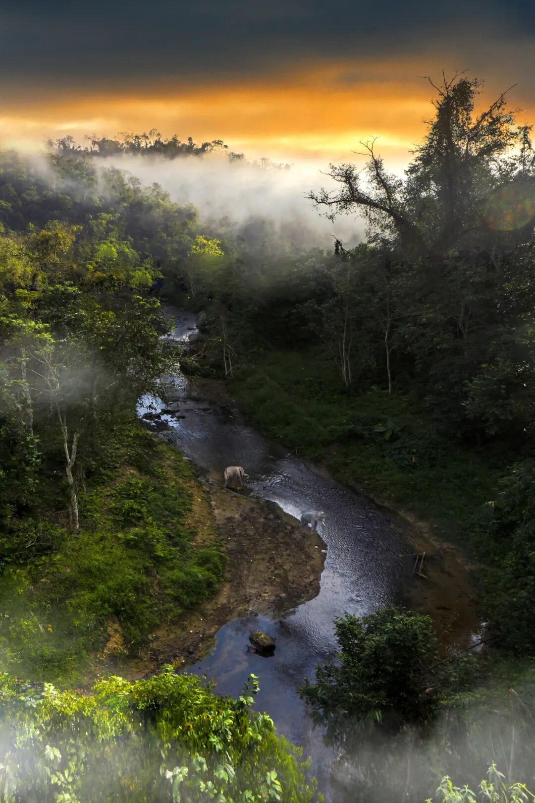 �й����ϣ�ƾʲô�ǡ������ʻ���������