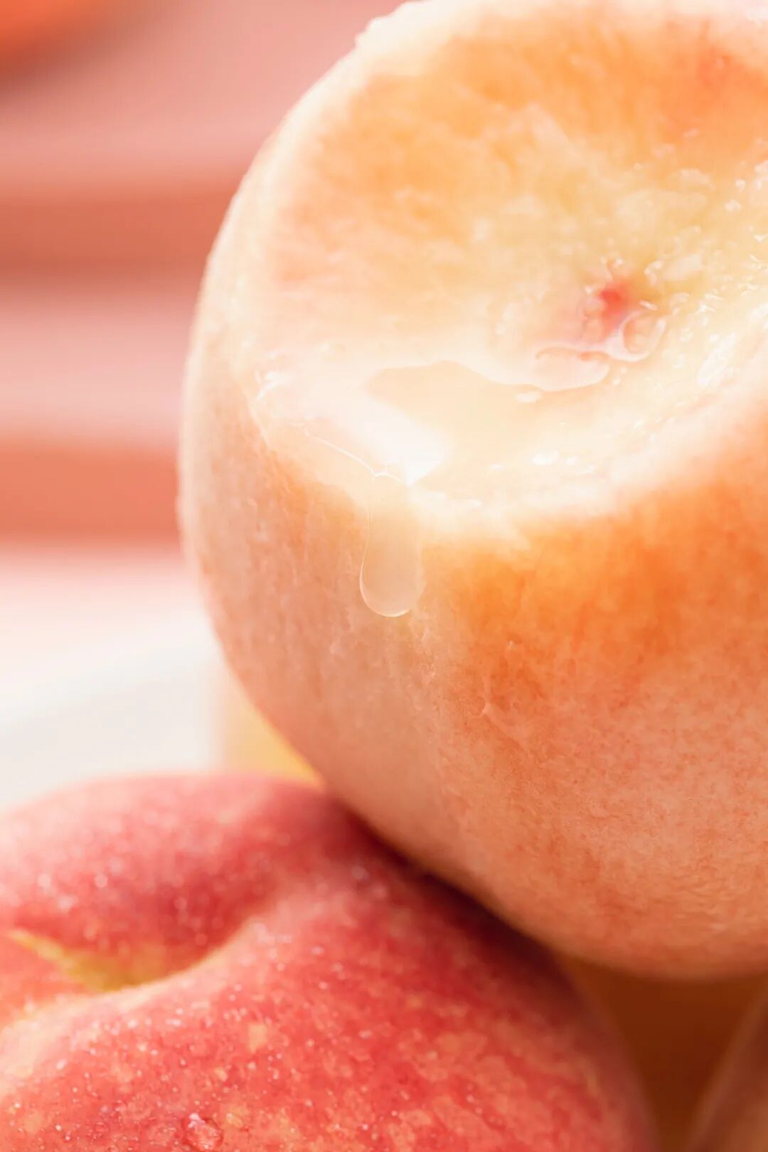 û���κ�һ���ǣ��ܱ�����������