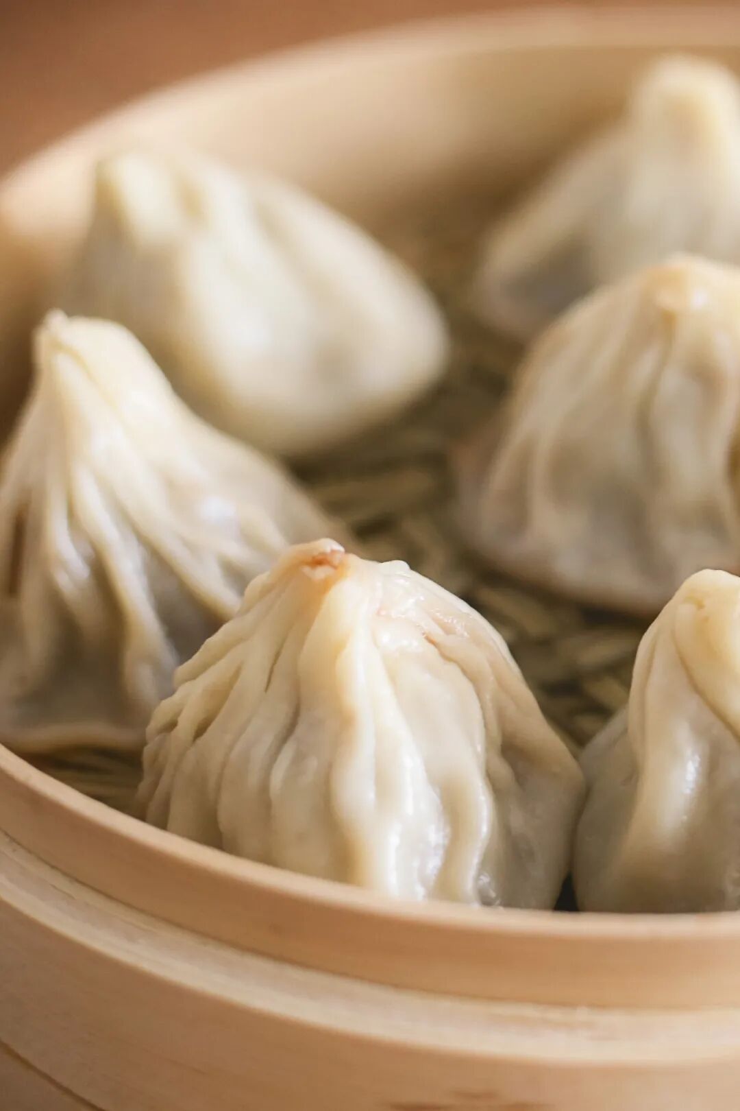 û���κ�һ���ǣ��ܱ�����������