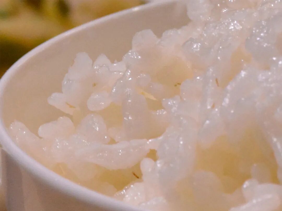 ��ѩ��ʱ���ҾͿ�ʼ��������ˣ�һ�����͵����֣�