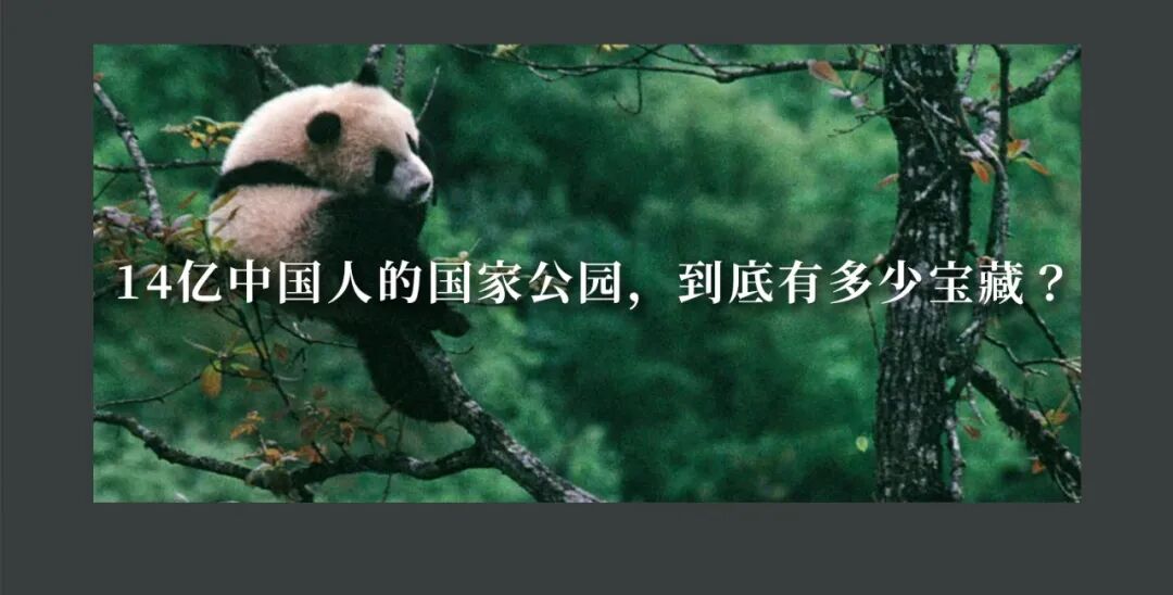 �й����ϣ�ƾʲô�ǡ������ʻ���������