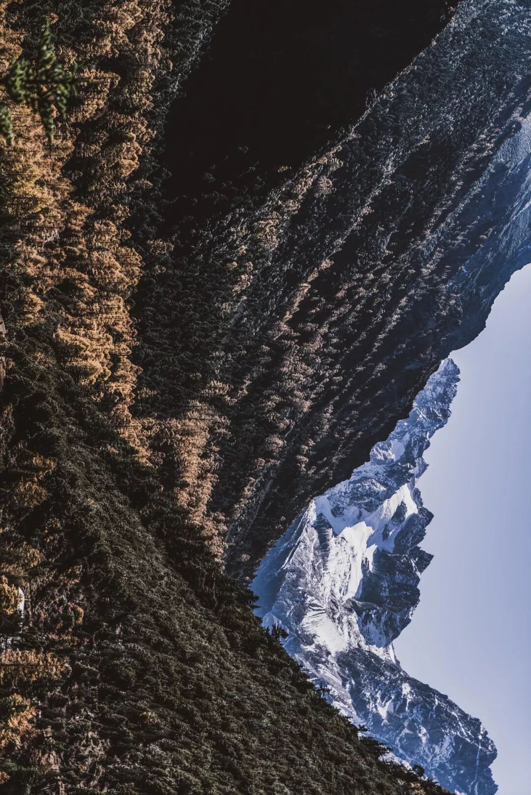 旅行 | 從城市搬去鄉村，看見了怎樣的香格里拉？ 旅遊 第30張
