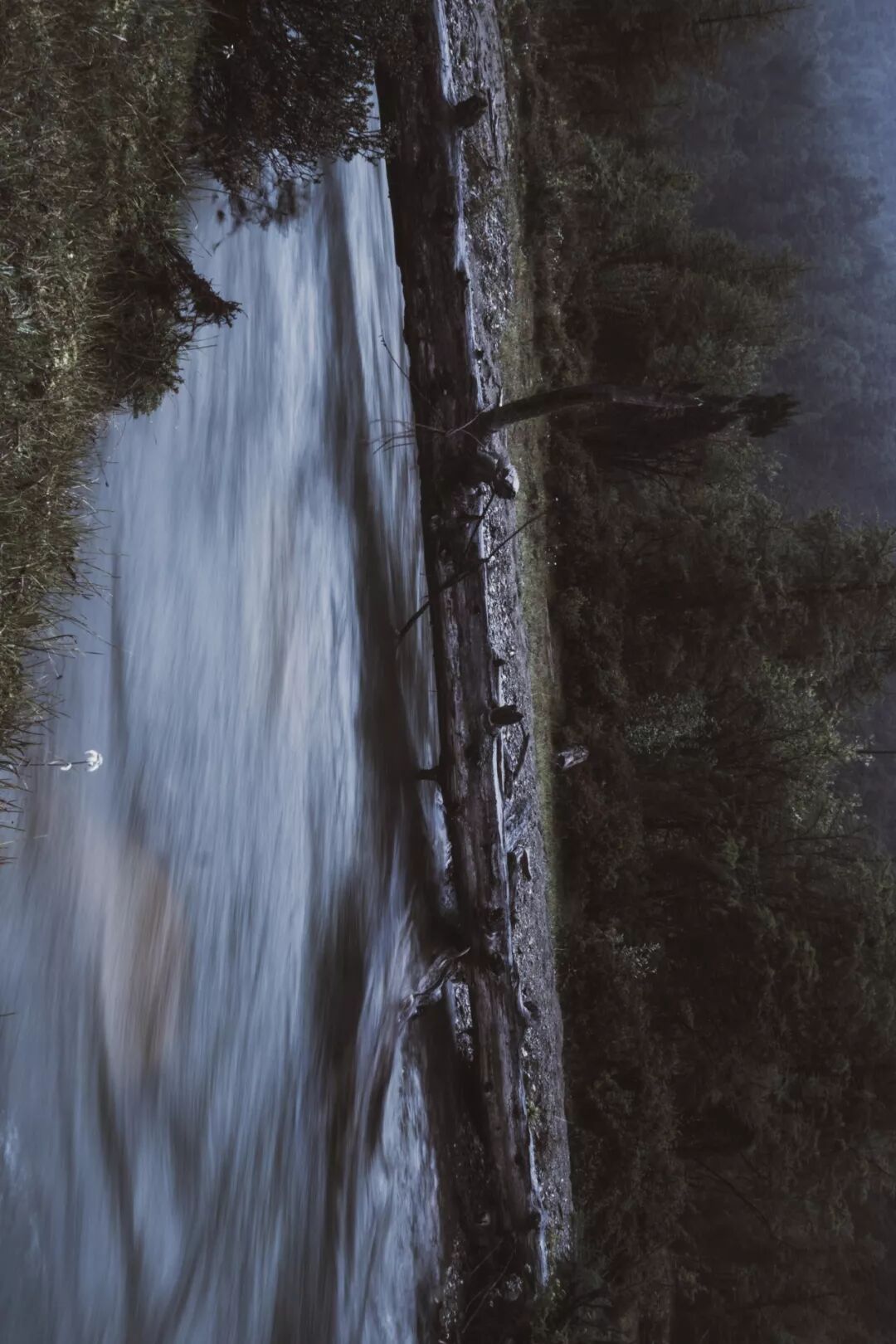 旅行 | 從城市搬去鄉村，看見了怎樣的香格里拉？ 旅遊 第37張