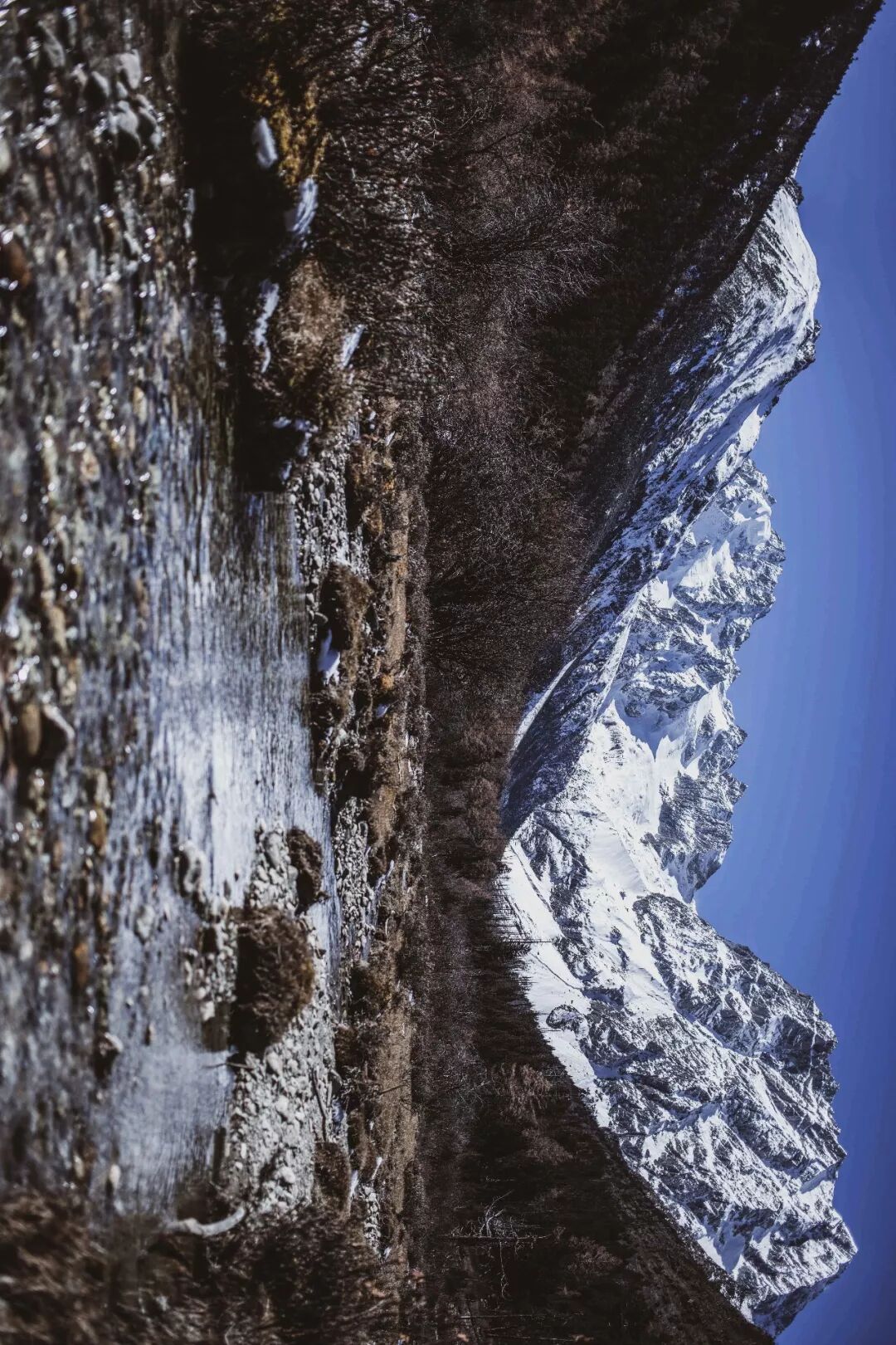 旅行 | 從城市搬去鄉村，看見了怎樣的香格里拉？ 旅遊 第52張