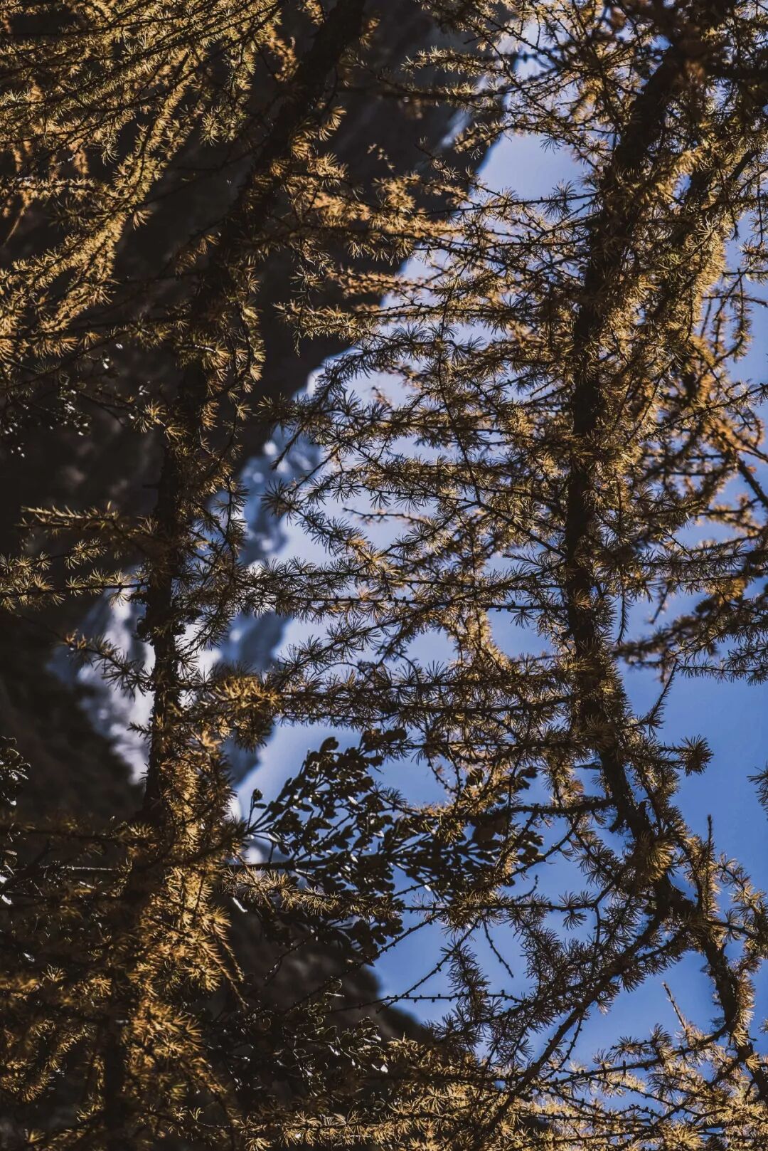 旅行 | 從城市搬去鄉村，看見了怎樣的香格里拉？ 旅遊 第31張