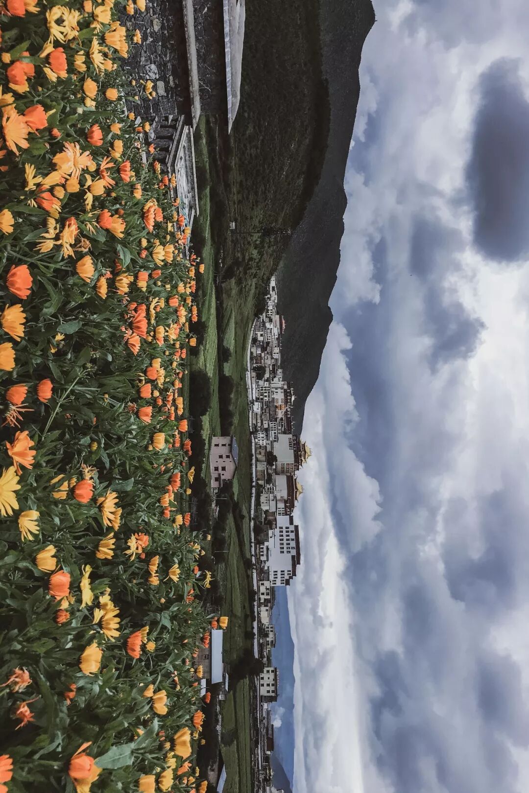 旅行 | 從城市搬去鄉村，看見了怎樣的香格里拉？ 旅遊 第17張