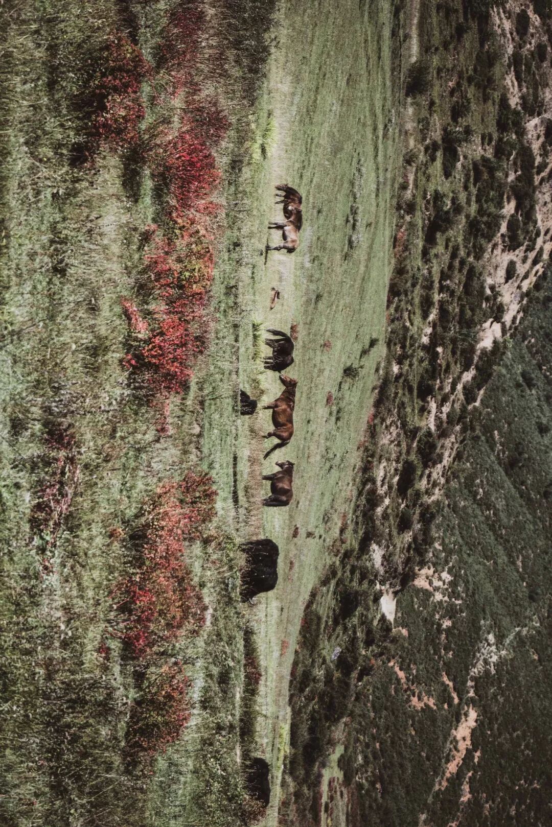 旅行 | 從城市搬去鄉村，看見了怎樣的香格里拉？ 旅遊 第23張