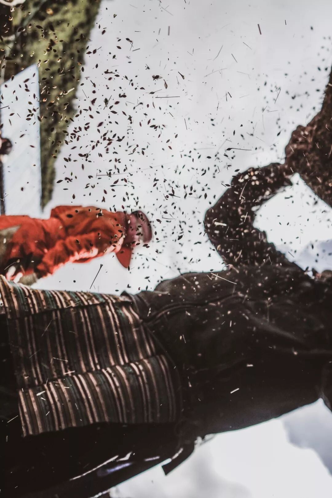 旅行 | 從城市搬去鄉村，看見了怎樣的香格里拉？ 旅遊 第22張