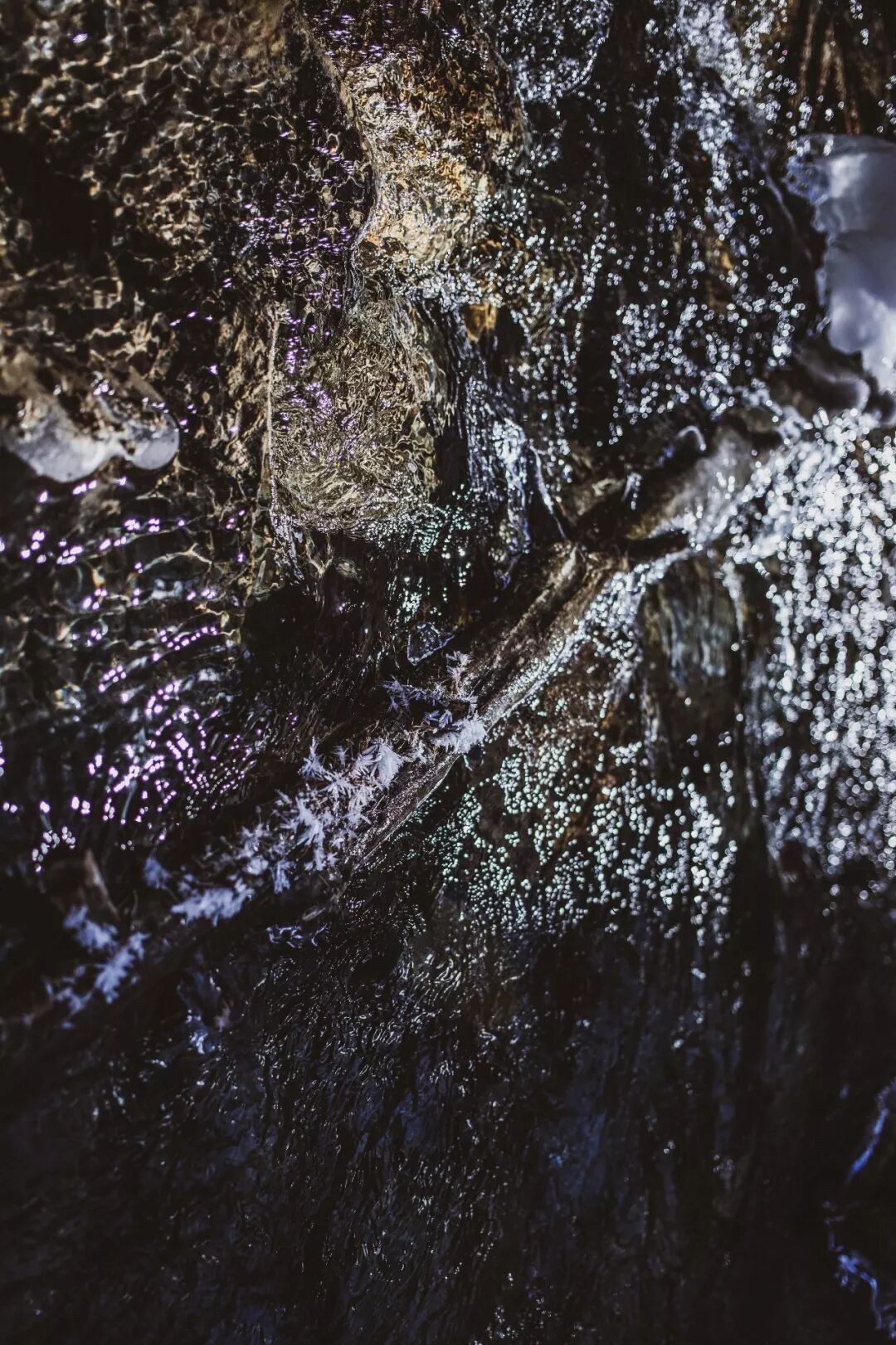 旅行 | 從城市搬去鄉村，看見了怎樣的香格里拉？ 旅遊 第53張