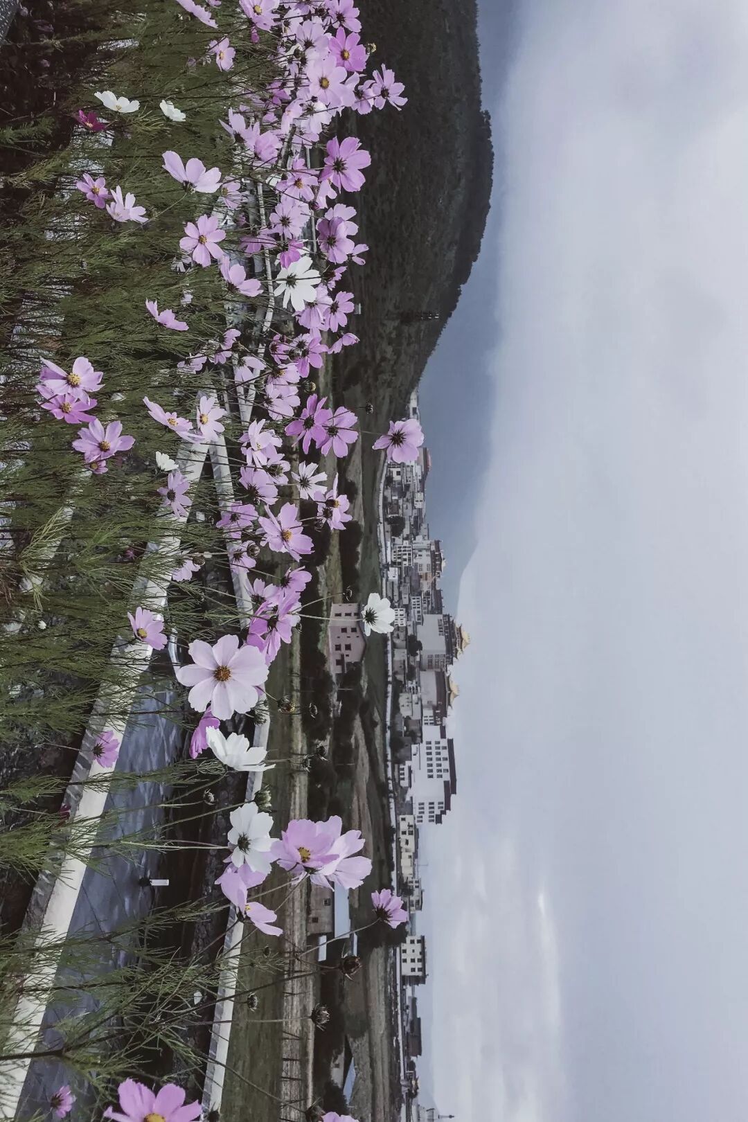 旅行 | 從城市搬去鄉村，看見了怎樣的香格里拉？ 旅遊 第19張