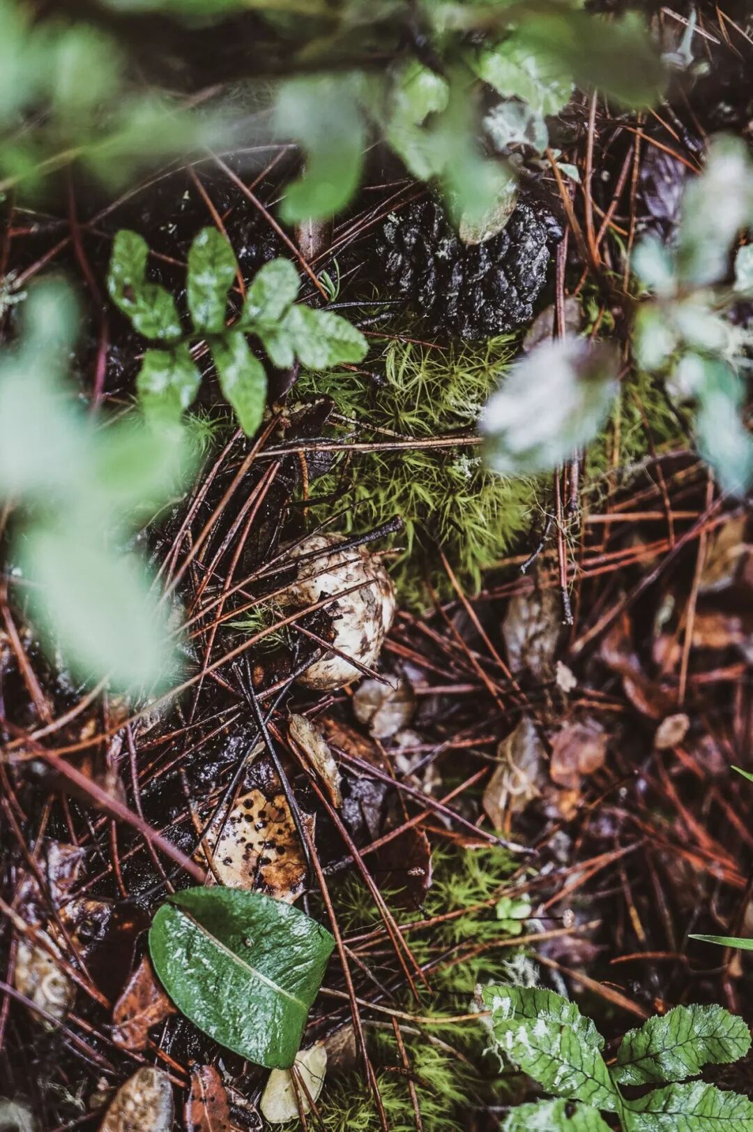 旅行 | 從城市搬去鄉村，看見了怎樣的香格里拉？ 旅遊 第15張