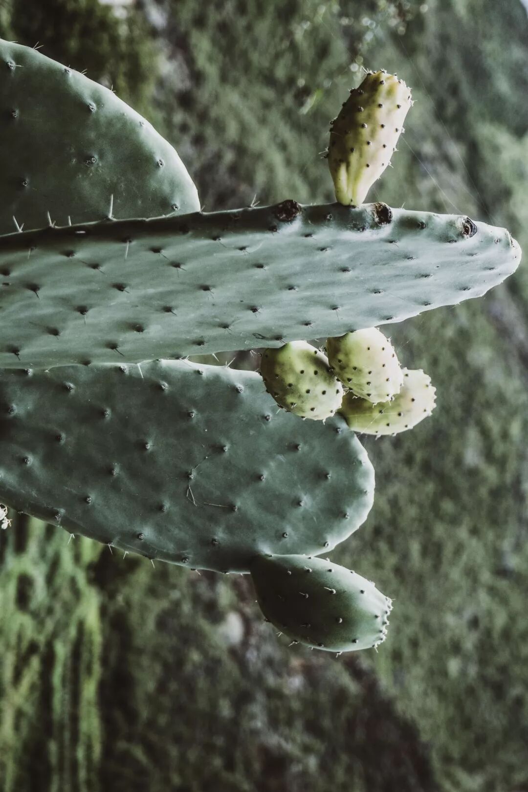 旅行 | 從城市搬去鄉村，看見了怎樣的香格里拉？ 旅遊 第32張