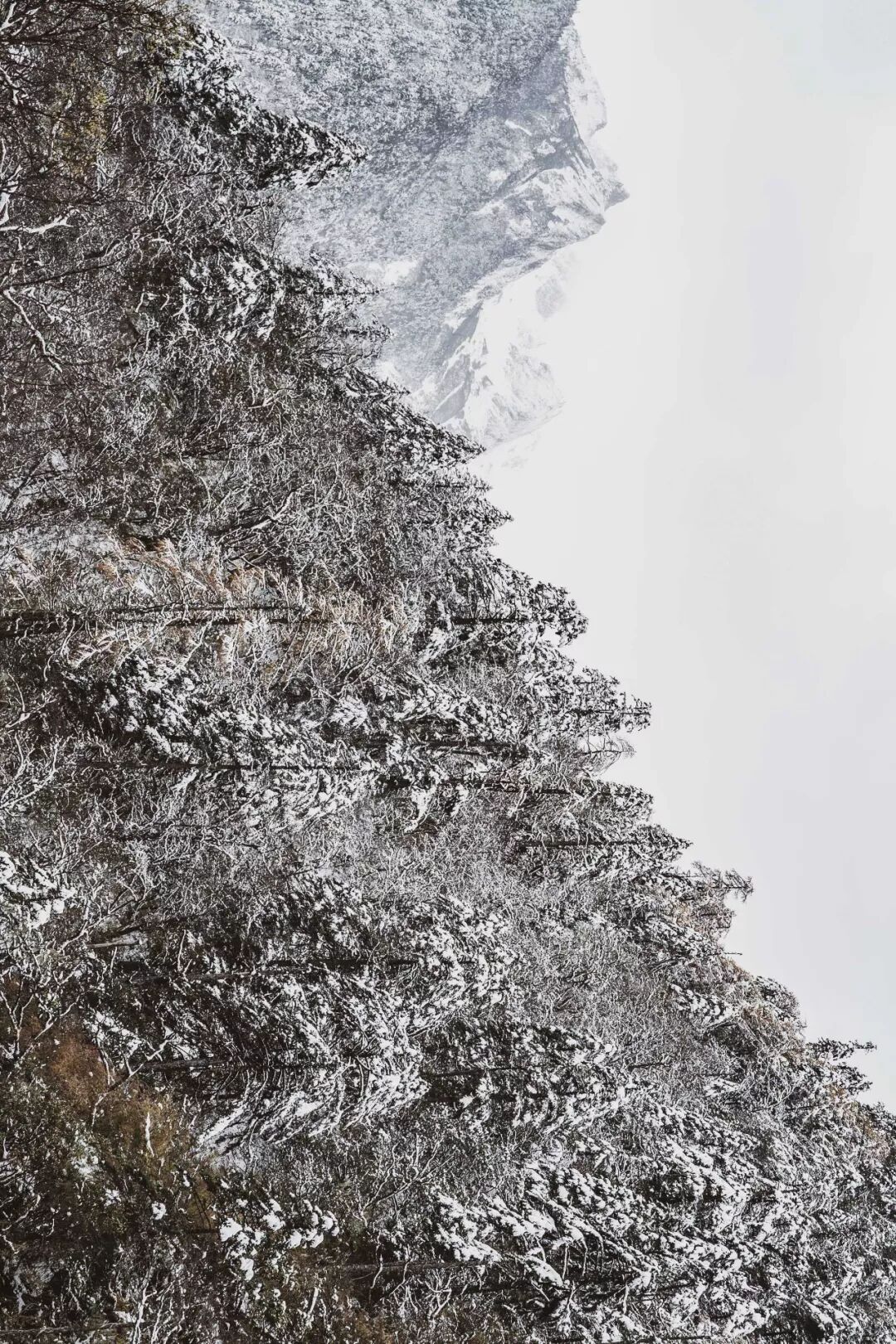旅行 | 從城市搬去鄉村，看見了怎樣的香格里拉？ 旅遊 第45張