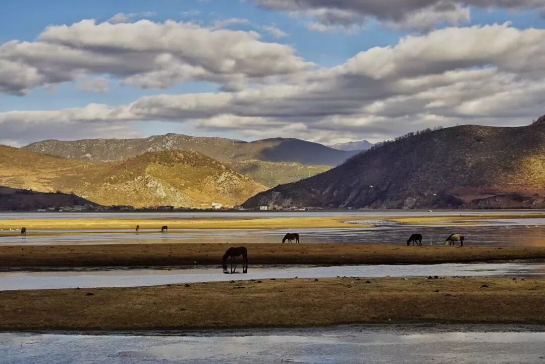 旅行 | 從城市搬去鄉村，看見了怎樣的香格里拉？ 旅遊 第3張