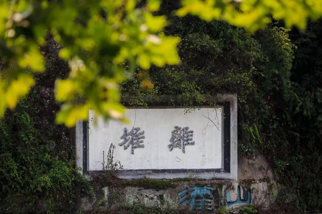 玉垒山_都江堰玉垒山公园_玉垒山公园