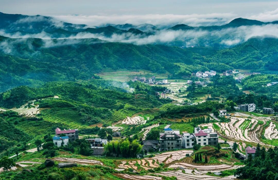 中国到底哪里的梯田最好看?
