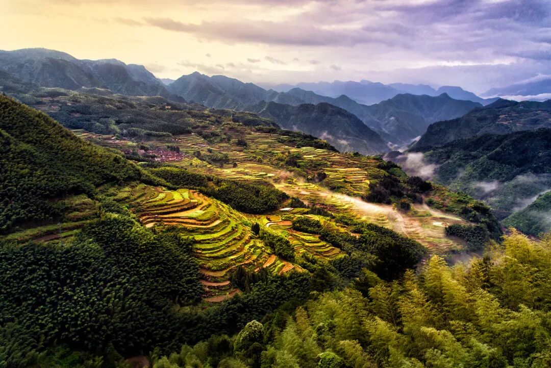 东南丘陵,为何"小巧精致"?