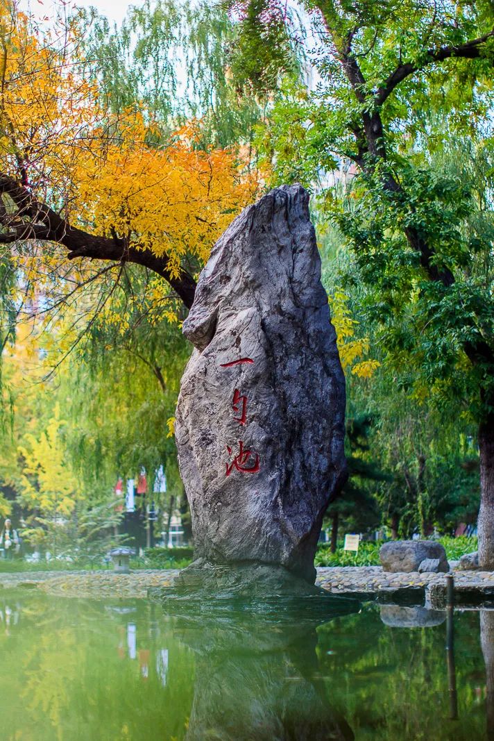 中國(guó)人民大學(xué)官網(wǎng)首頁(yè)鏈接_中國(guó)人民大學(xué)網(wǎng)站_人民大學(xué)網(wǎng)站主頁(yè)
