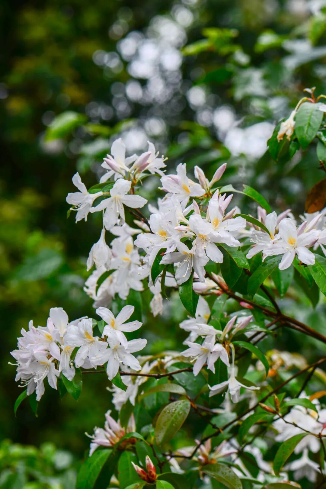 �й����ϣ�ƾʲô�ǡ������ʻ���������