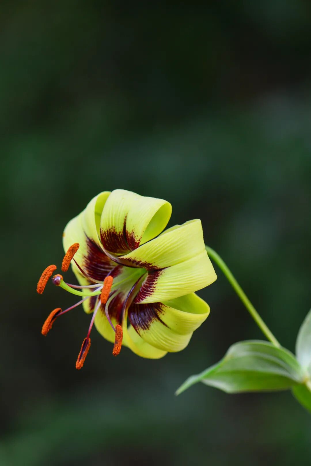 �й����ϣ�ƾʲô�ǡ������ʻ���������