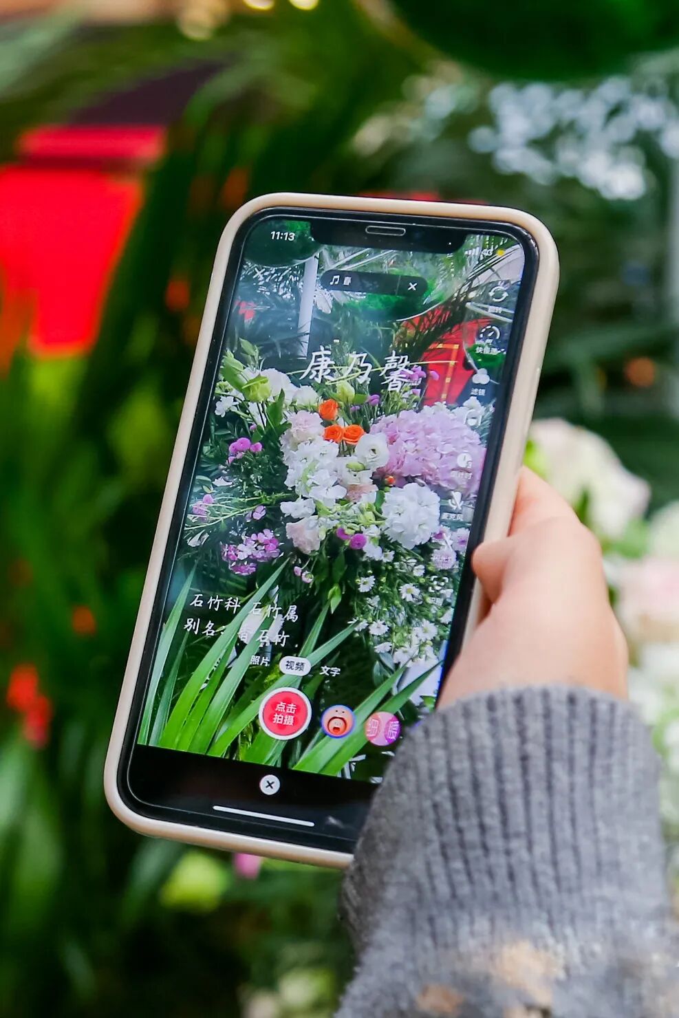 �й����ϣ�ƾʲô�ǡ������ʻ���������