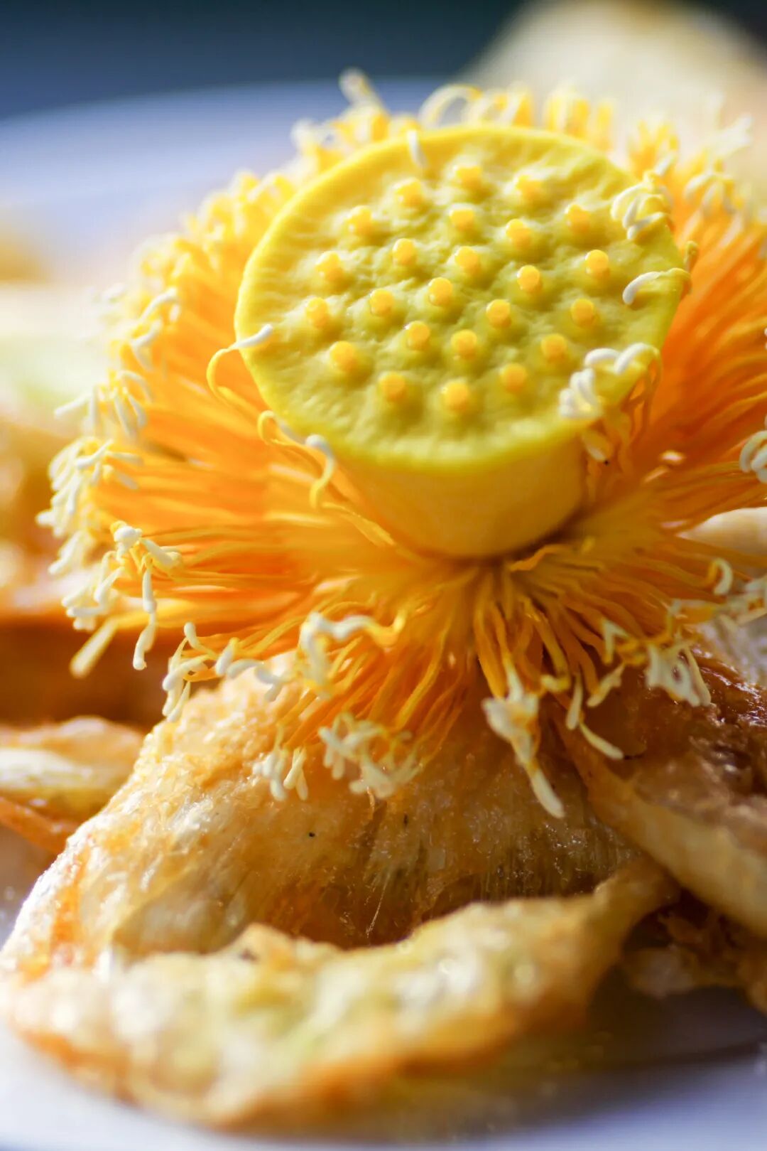 �й����ϣ�ƾʲô�ǡ������ʻ���������