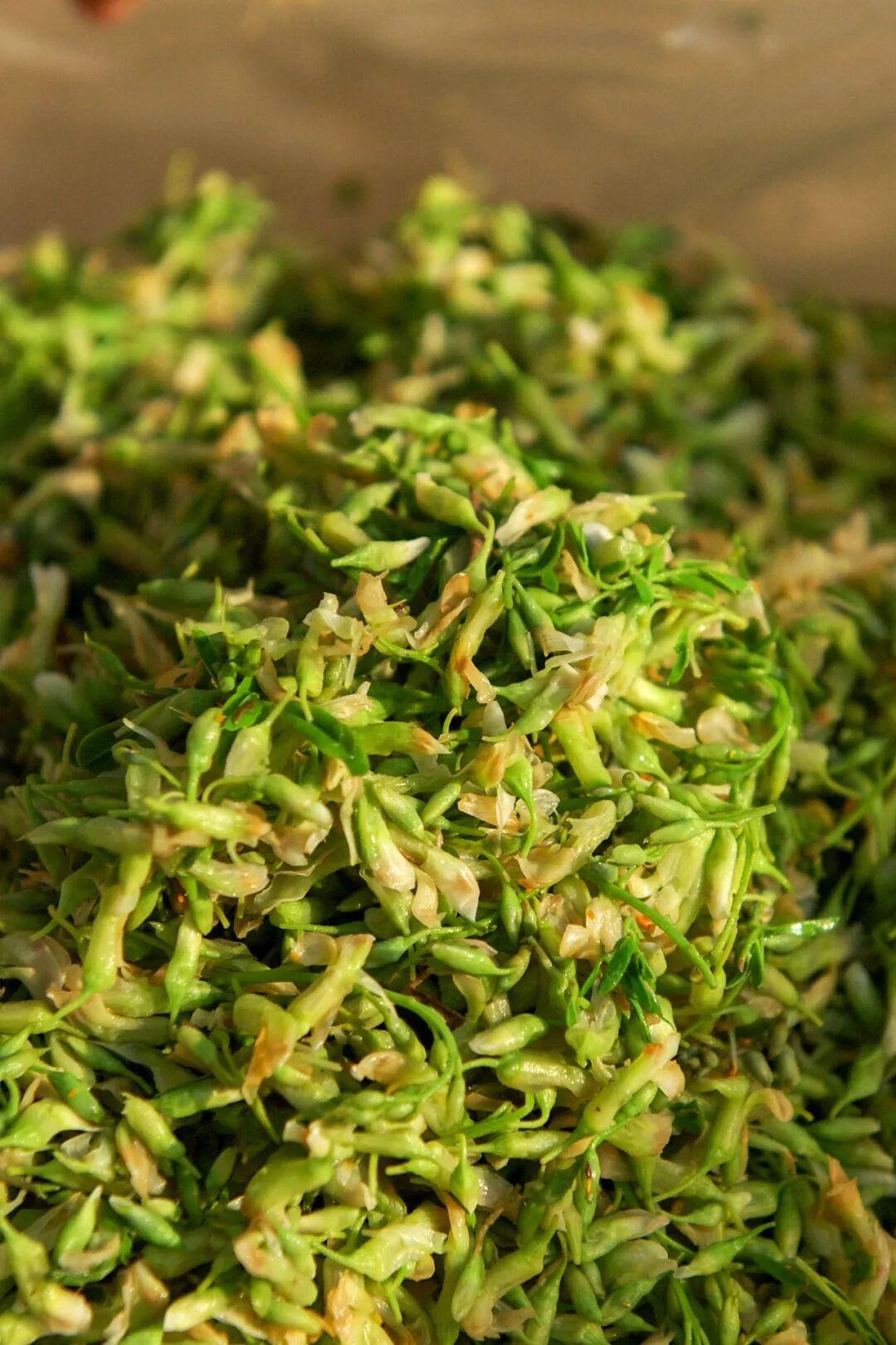 �й����ϣ�ƾʲô�ǡ������ʻ���������