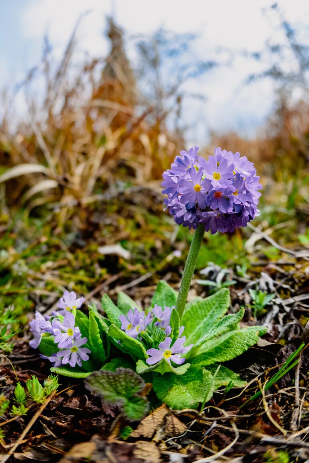 �й����ϣ�ƾʲô�ǡ������ʻ���������