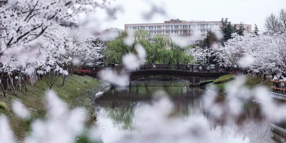 2023年鹽城師范學(xué)院招生網(wǎng)錄取分?jǐn)?shù)線_鹽城師范學(xué)院錄取專業(yè)分?jǐn)?shù)線_鹽城師范學(xué)院2021錄取分?jǐn)?shù)