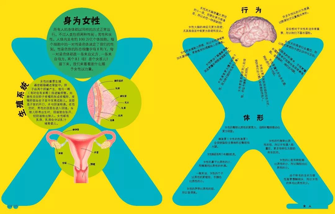 医学解剖人体图片大全_人体医学图片素材_女性医学人体解剖图