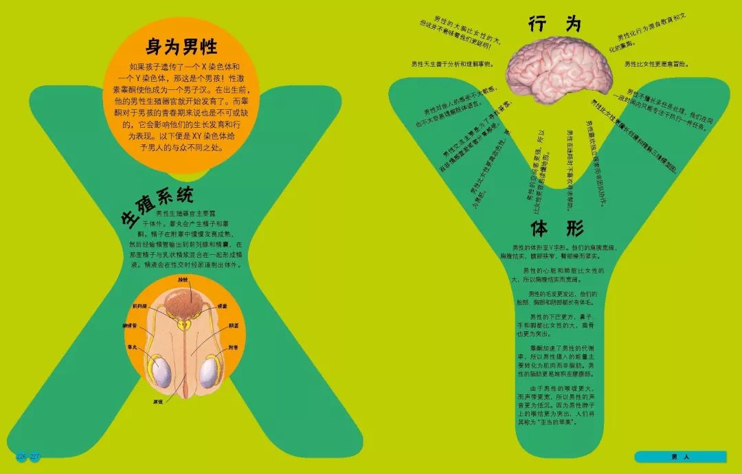 人体医学图片素材_医学解剖人体图片大全_女性医学人体解剖图