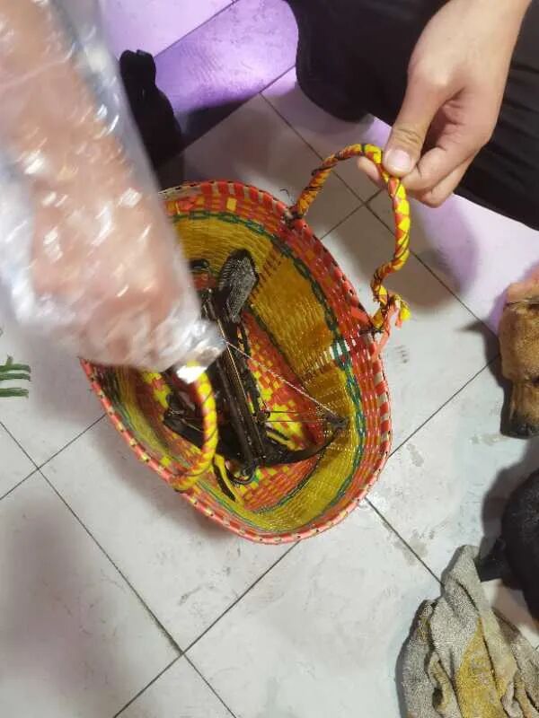 这几个人在清城清新多地毒狗贩卖被抓时身上还有毒针一批