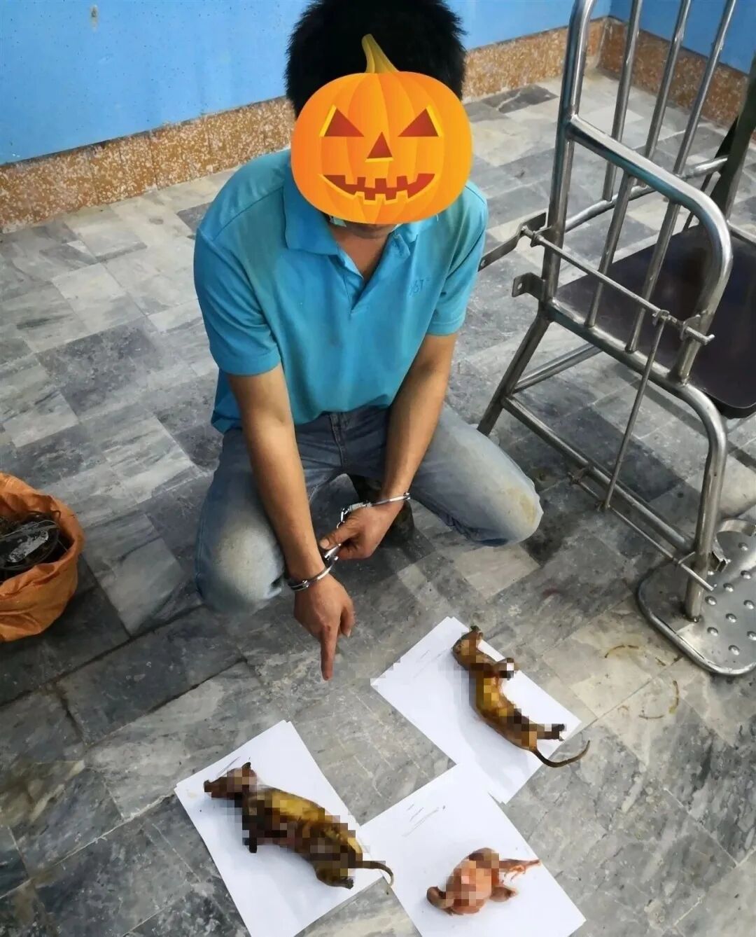 清城一男子顶风作案非法捕猎野生动物抓