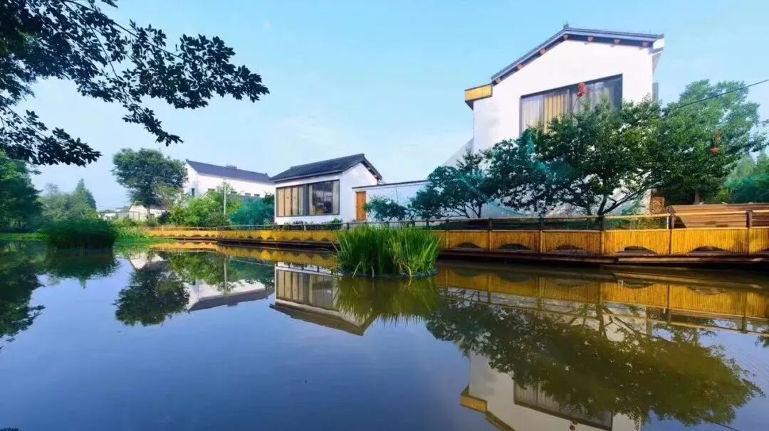 全省点名,桐乡新增4个未来乡村!