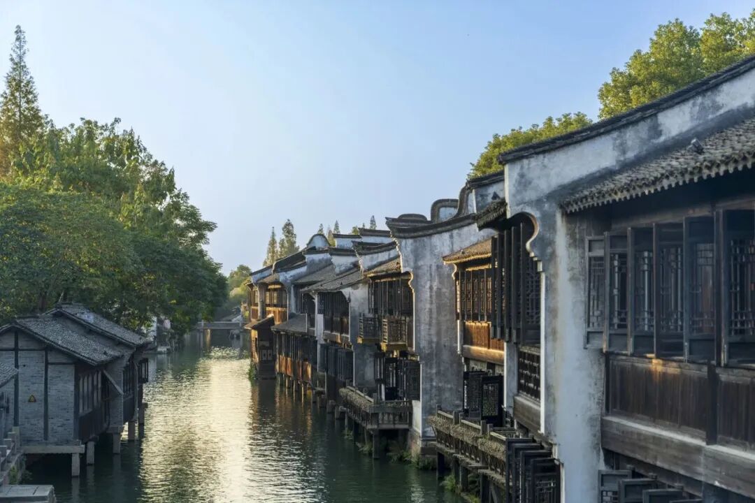 只此蓝绿,唯有桐乡