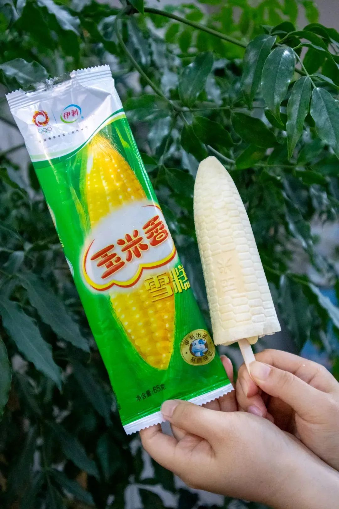 桐乡人的童年棒冰,五毛钱的快乐!