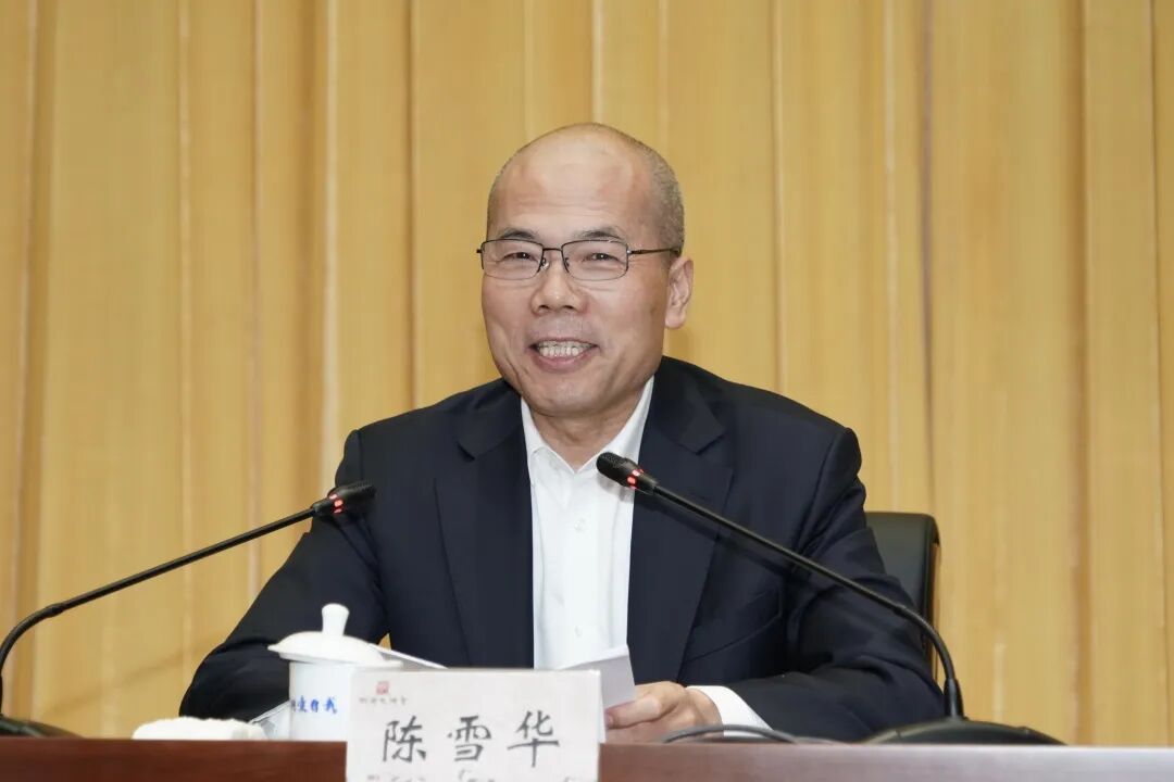 现场,第十四届全国人大代表,浙江华友钴业股份有限公司董事长陈雪华作