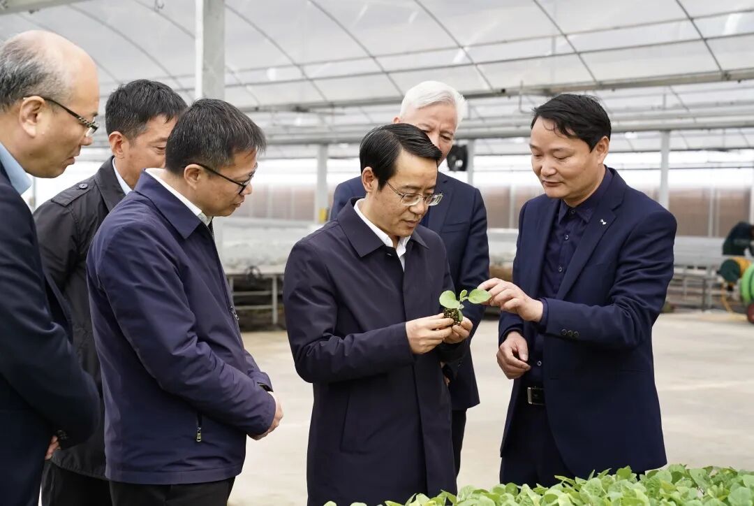嘉兴市委副书记政法委书记帅燮琅来桐调研