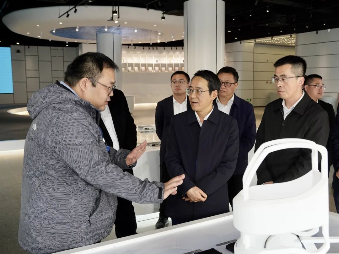 嘉兴市委副书记政法委书记帅燮琅来桐调研